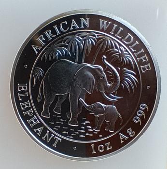 Somalia Elefant 1 Unze Silber 2007 stgl